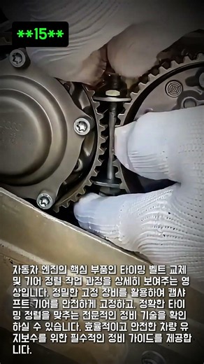 엔진 타이밍 벨트 교체 및 정렬 작업 #worker #process #engine #car #repair