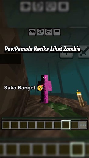 Pemula Ketika Lihat Zombie vs Orang yang Benci dengan Zombie | ft.:@Azril_Minecraft #minecraft