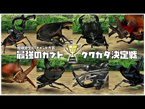 甲虫王者ムシキング - 最強のカブト・クワガタ決定戦 極限甲虫トーナメント大会｜Mushiking