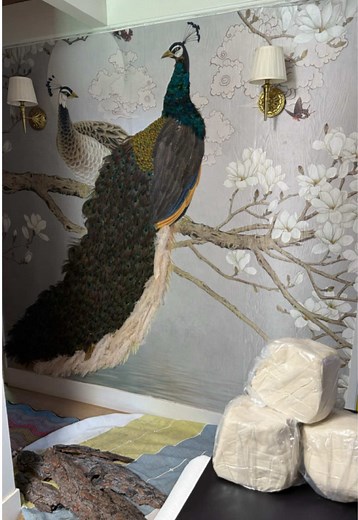 Peacock Clay Feather Wall Art DIY Project