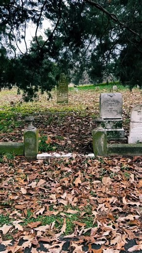 Old Cemetery. #atmospheric #spooky #scary #fear #nostalgia #cemetery #tombstone #graveyard #gothic #mist #graves
