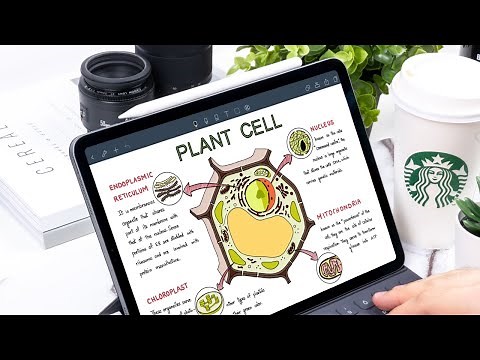 Complete review of Noteshelf for taking notes on the iPad| Paperless X