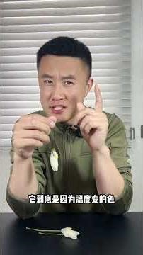 The Enchanting Transformation of a Roast Duck: Mr. Lei's Heartwarming Revelation