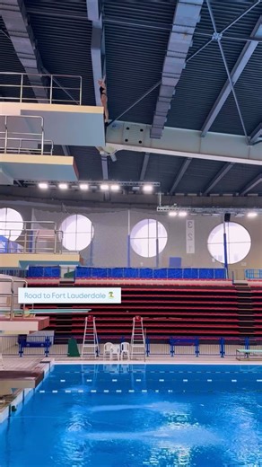 Why Platform Diving Is Harder Than It Looks