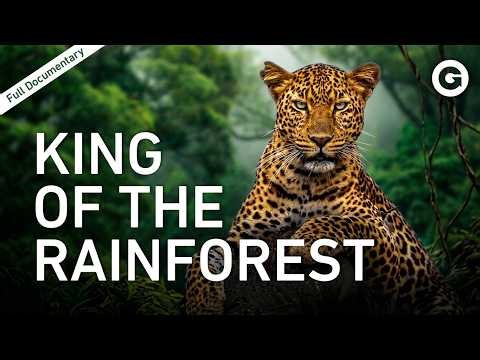 The Kingdom of the Jaguar: Life in Guyana's Untamed Forest | Full Documentary