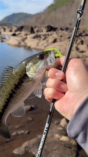 New @bassproshops Johnny morris bfs rod feels pretty good. | Creek Fishing Adventures