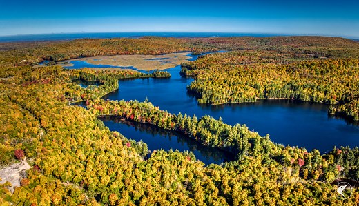 Twin Ponds Preserve | Merrill L. Thomas, Inc. Real Estate