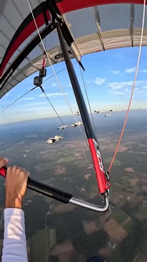 Popular Videos & Trending Content