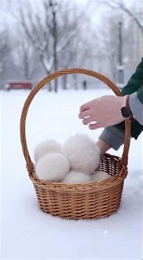 Persian Cat Gets Haircut, Instantly REGRETS It in the Snow! 🥶
