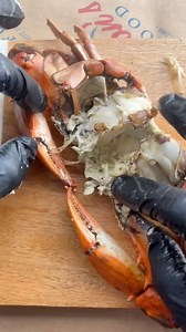 1.3M views · 5.4K reactions | Professionally picked Maryland Jimmy 呂 #seafood #crab #howto #tutorials #pro #technique #expert | Cameron's Seafood Online | Facebook