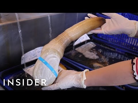 We Tried Geoduck — World's Biggest Burrowing Clam