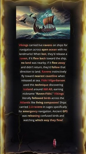 Raven Floki Discovered Iceland by Following Released Ravens Home