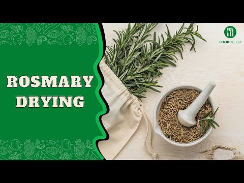 How to dry rosemary