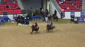 Cagney Anderson and Blake Hohenberger won the Priefert Rodeo & Ranch Equipment #11.5 Ariat World Series of Team Roping from second callback. They roped their short round steer in 7.36 seconds to be 31.95 on four head, worth $300,000e Priefert Rodeo & Ranch Equipment #11.5 Finale at the Ariat WSTR Finale XVI. Watch all of the team roping action on RidePass: https://welcome.ridepass.com/tr19?chid=af&soid=wstr&obid=sub&cmid=pbr_rp_rod-tr-wstrq_sub_90219-92819&auid=wstr&taid=prtnr&szid=NA | The Team