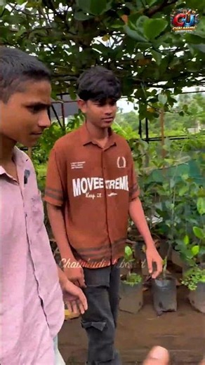 ചക്ക ഉണ്ടായ പ്ലാവുകൾ വെറും 150 രൂപയ്ക്ക് #coconuttree #orphan #plants #plant #fruitplants