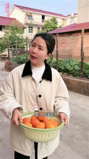 Daily Drama Unveiled: Hongyun Kai Nian's Real-Life Stories