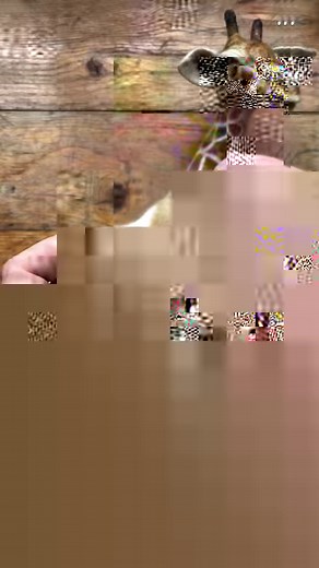 I teach needle felting skills to makers with a series of online tutorials sharing step-by-step techniques so that you can reach your creative potential. If you’d like to join my monthly membership to make a different wildlife inspired creations - please message or email birdieandblossom01@gmail.com***#needlefelting #giraffe #needlefeltedgiraffe #subscriptionbox #wirearmature #wire#africananimals #iafricanwildlife #needlefelt #giraffeart #woolart #woolsculpture #campaignforwool #needlefeltedsculp