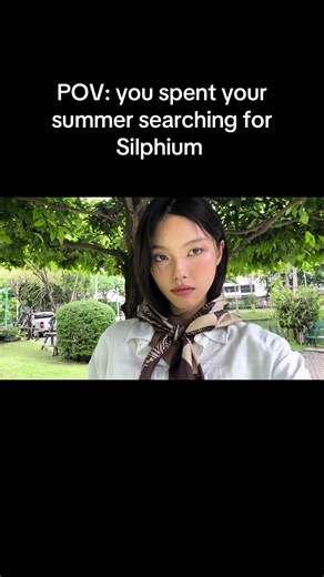 Silphium บน TikTok