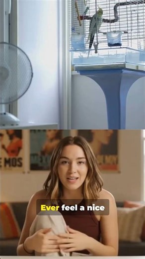 This Mini Split Makes Summer Cool Again!