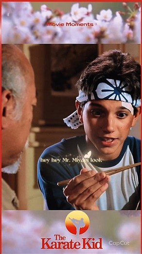 Daniel Catches Fly With Chopstick The Karate Kid