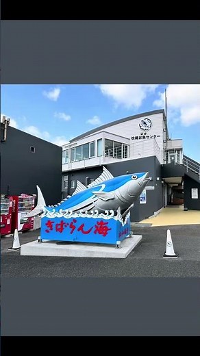鹿児島県指宿市カツオの漁が盛んな街きばらん海道。枕崎お魚センターでは新鮮なお魚に削りたての鰹節が最高です。