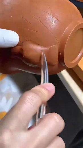 Handcrafted Gaiwan with Root Carving – 17 Seconds of Mastery