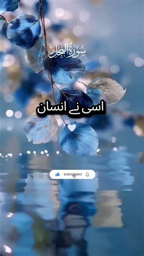 Quran Urdu Translation Surah An-Nahl #viralvideo #islamicscripture #youtubeshorts #viral #islamicart