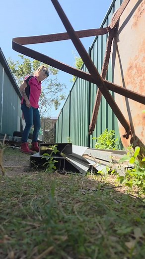 2K reactions · 45 shares | “Eastern Brown Snake” (highly-venomous)...