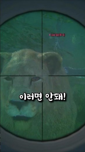 (In an urgent voice) A lion is right in front of me? theHunter : Call of the Wild™ #shorts