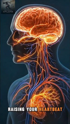 Smoking Effects: The Science Behind Nicotine Addiction 🚬😲🚀 #smokingcontrol #science #health