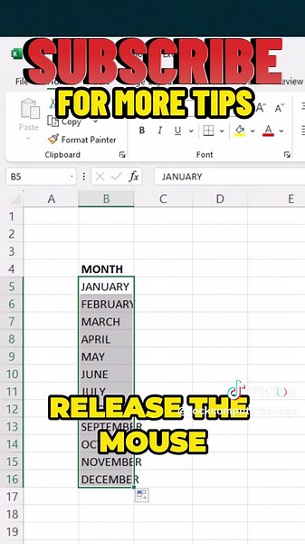 Excel Pro Trick Learn how to autofill months in Excel using this simple yet powerful Excel shortcut trick! This Excel pro trick will save you time when managing data, reports, or calendars. Whether you're a student, professional, or data wizard, this is a Microsoft Excel tip you should try today! #Excel #MicrosoftExcel #ExcelTrick #ExcelProTrick #ExcelShortcut #AutofillMonths #ExcelTips #ExcelProductivity #Shorts
