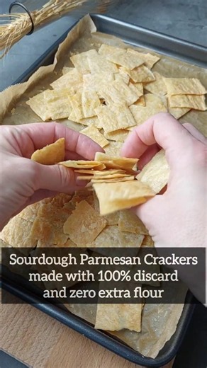 Discard + cheese = Sourdough Parmesan Crackers without extra flour #sourdoughcrackers #discard