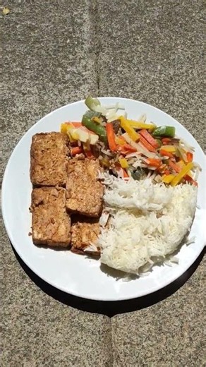 Organic Soy Tofu with Rice and Asian-style Vegetables for Lunch