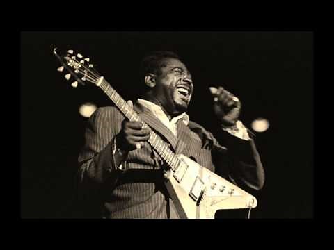 Albert King - I'll Play the Blues for You / Live at The Purple Carriage, 1974