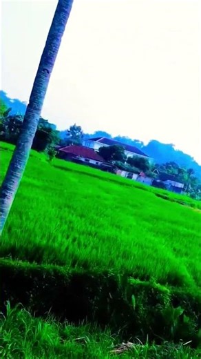 FPV Cinematic DJI Neo 2 dengan motion controller 3 #DJINeo #DroneIndonesia #DJI