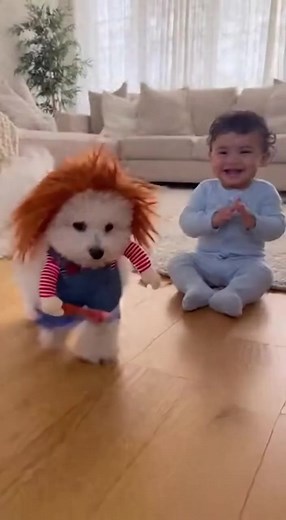 Chucky's first Halloween party 0e 100 % Al-generated video. Original story and animation created with artificial intelligence tools for family entertainment. All characters and situations are fictional and digitally created. Designed to make people smile and enjoy creative storytelling. O Reuploads or copies are not allowed. #Alvideo #Alfunny #Alfamily #Alanimals #DigitalArt #Alcreativity #Artificiallntelligence #CuteAI #FunnyPets #RealisticAI #HistorialA #AnimacionIA #ContenidolA #CineDigital #