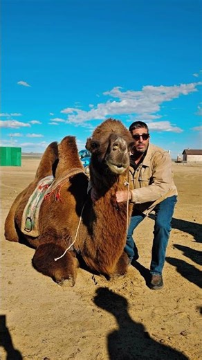 Gobi Desert Camel trekking tour