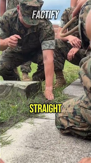 Soldiers vs Fire Ants ?❗ #shorts #ants #soldiers