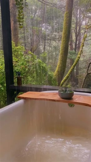 Exploring the Charming City of Elk, California