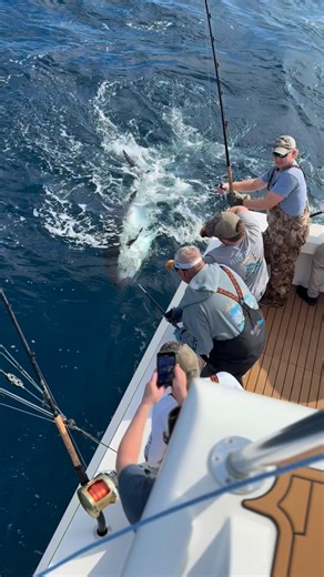 GIANT BLUEFIN SEASON IS ALMOST HERE! It’s that time of year again — we’re now taking bookings for our Giant Bluefin Tuna season in the Outer Banks, NC! Join us aboard the RoShamBo, docked at Pirate’s Cove Marina in Manteo, NC, for a once-in-a-lifetime Bluefin adventure chasing true giants. 📅 Prime dates still available in February and March 🕐 12 hour trips | 👥 Up to 6 anglers 🏠 Ask about our 4-bedroom house rental available for our clients 📞 Call or text Captain Willie Zimmerman at 443-370-