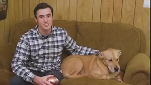 14K views · 96 reactions | Crumby Portable Mini Vacuum Cleaner Rs 1099/- To place an order ► https://bit.ly/3hbCSxX WhatsApp 0305-7157770 ✅Safe Delivery ✅30 days Money Back Guarantee #onlineshopping #kitchen #household #discount #idealancy | Idealancy | Facebook