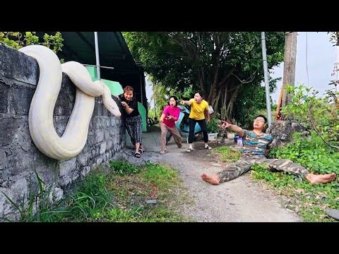 Three Brave Girls Used a Hight-tech Snake Detector to Find 100 Giant Snakes.
