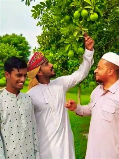 oman 🍏🍏🍏🍏🍏🍏🍏🍏🍏💜👍 #nature frot