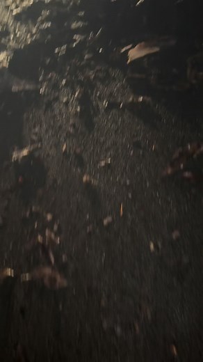 Debra Chunn on Reels | Facebook