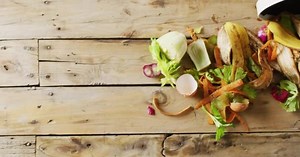 Video Organic Fruit Vegetable Waste Spilling Kitchen Composting Bin Wooden