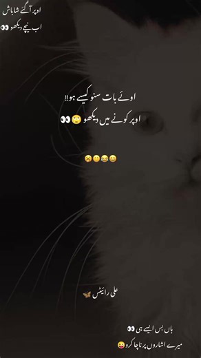 AhOo yArr !! 😂😜 #fyp #foryou #varilvideo #unfrezzmyaccount #fyppppppppppppppppppppppp