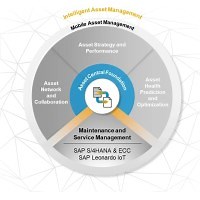 SAP Intelligent Asset Management (IAM) | LinkedIn