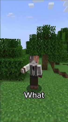 How To Use Anvil Properly #minecraft #facts #gaming