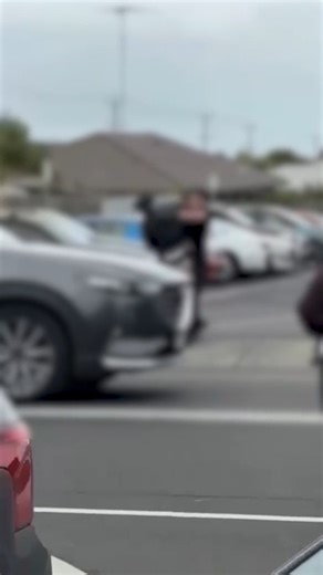 School bus stop fight