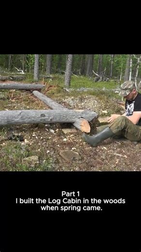 Part 1 I built the Log Cabin in the Woods when spring came. #bushcraft #logcabin #loghouse #building #survival